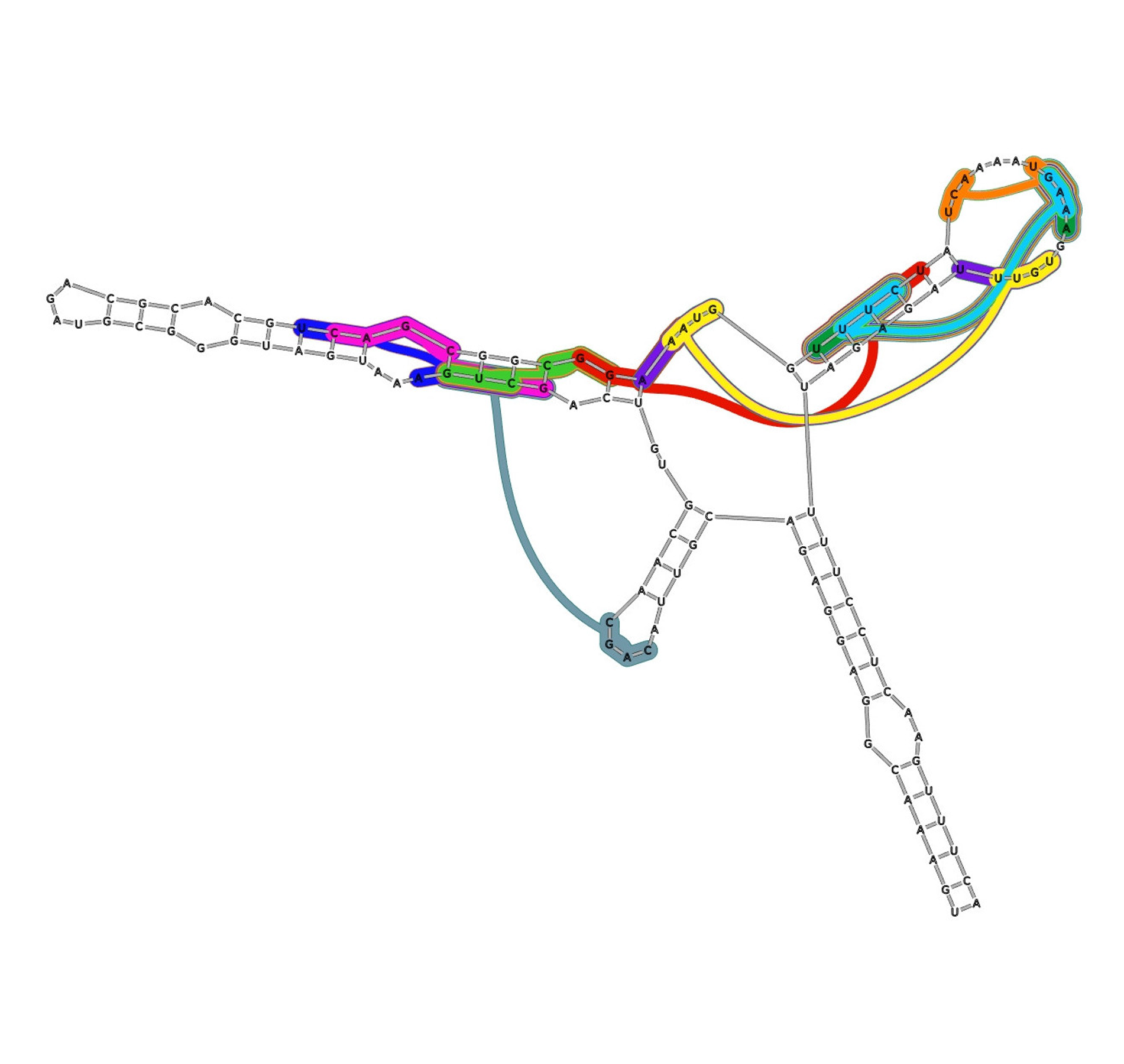 RNA-binding