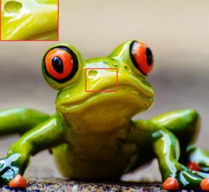 FGfrog