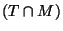 $ (T \cap M)$