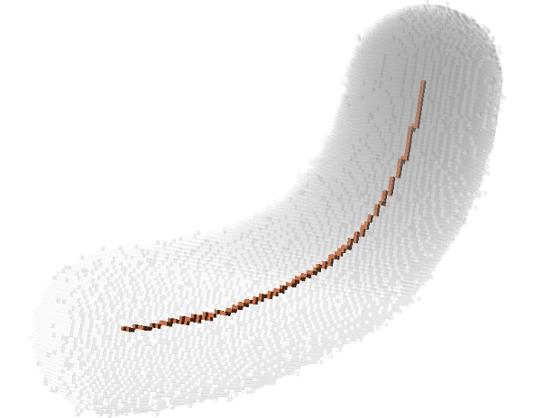 Noisy tube