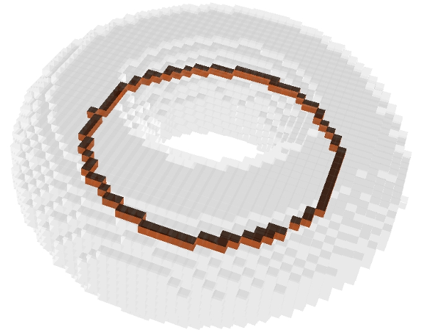 torus