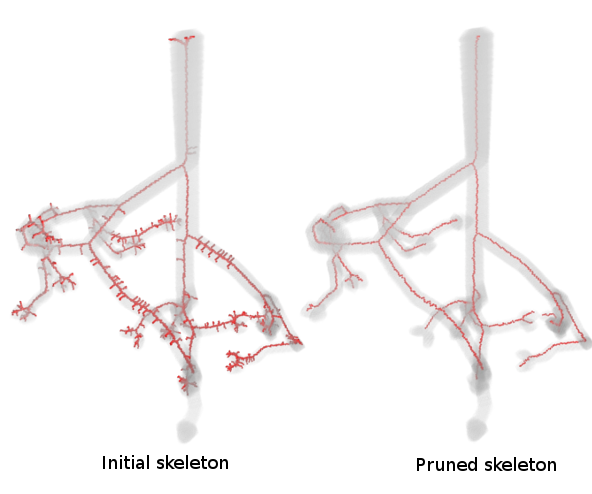 torus