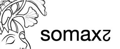Logo Somax2
