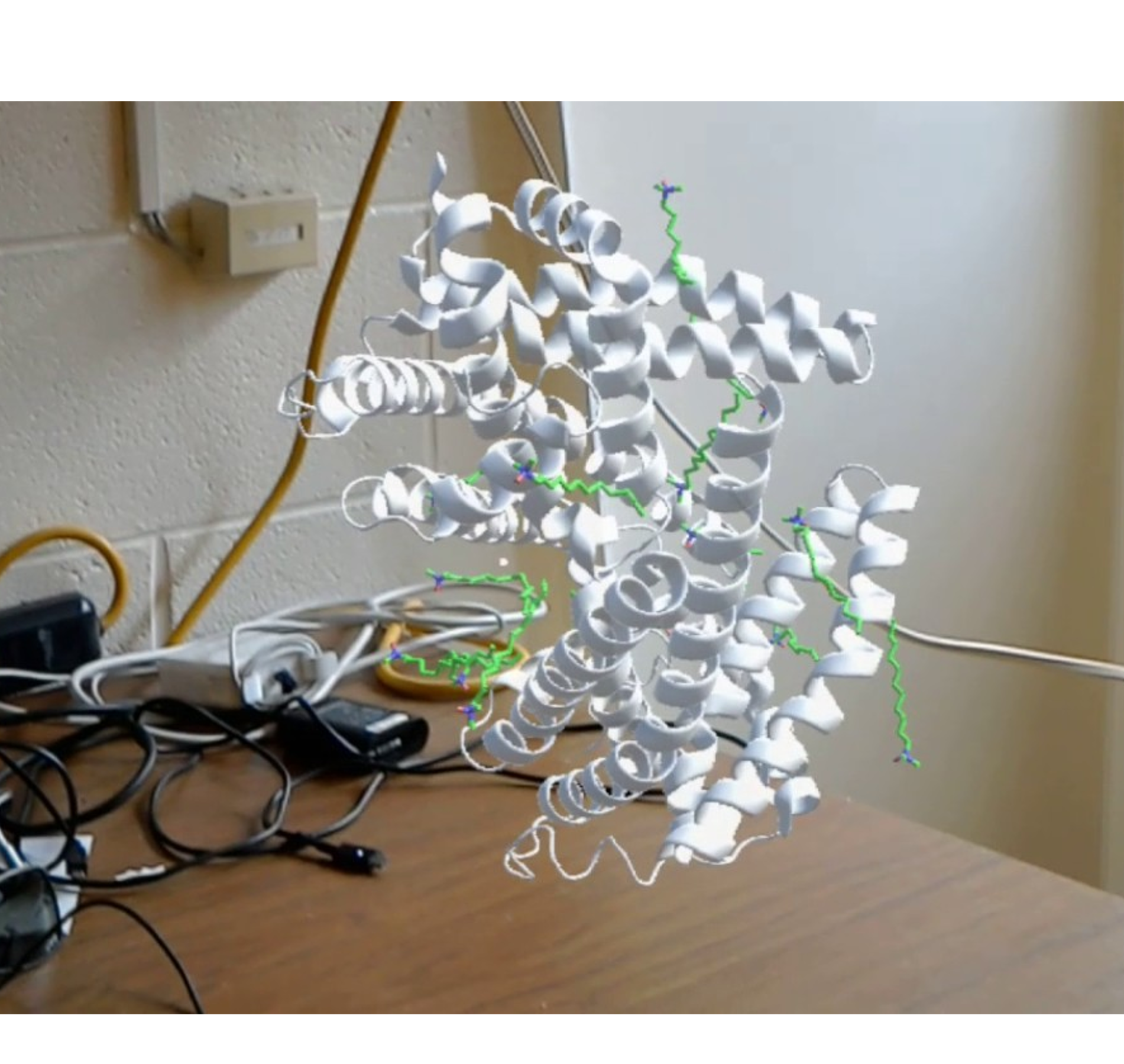 holoprot