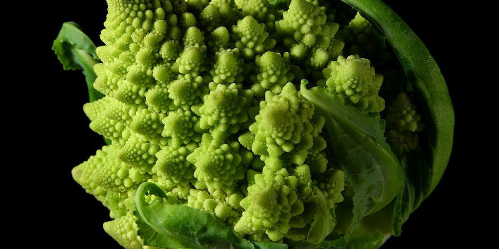 data/Fractal-Broccoli-cropped.jpg