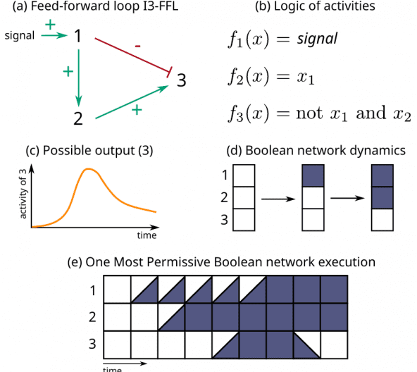 Article By Loic Pauleve In Nature Communications Labri