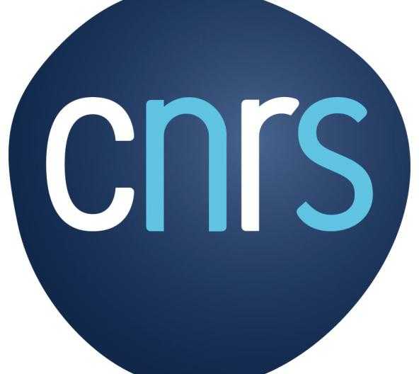 Logo CNRS couleurs